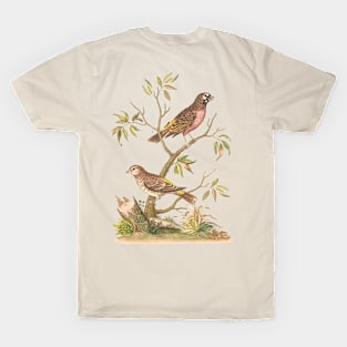 Finch Bird Nature Illustration T-Shirt